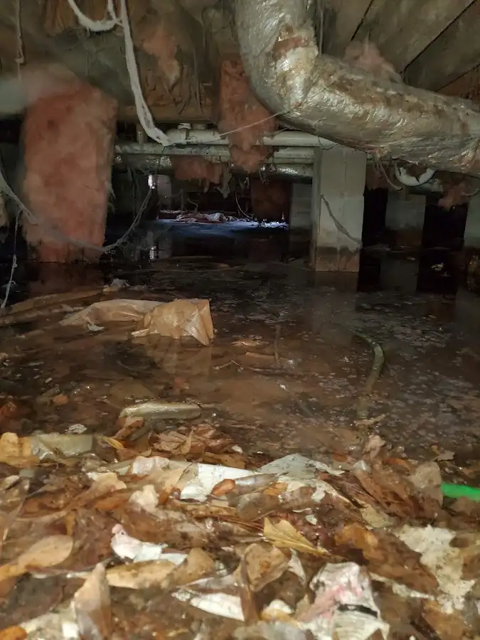 Crawl space flood assessment for Leak Detection & Repair in Hewitt